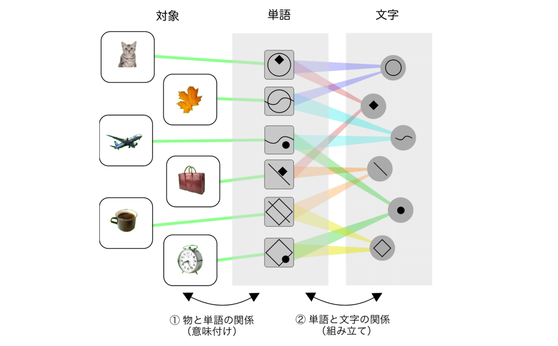 研究で使用された図形文字モデル