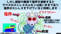 しかし電界をあびせても遮断剤があるとストレス減少効果はあまりありませんでした