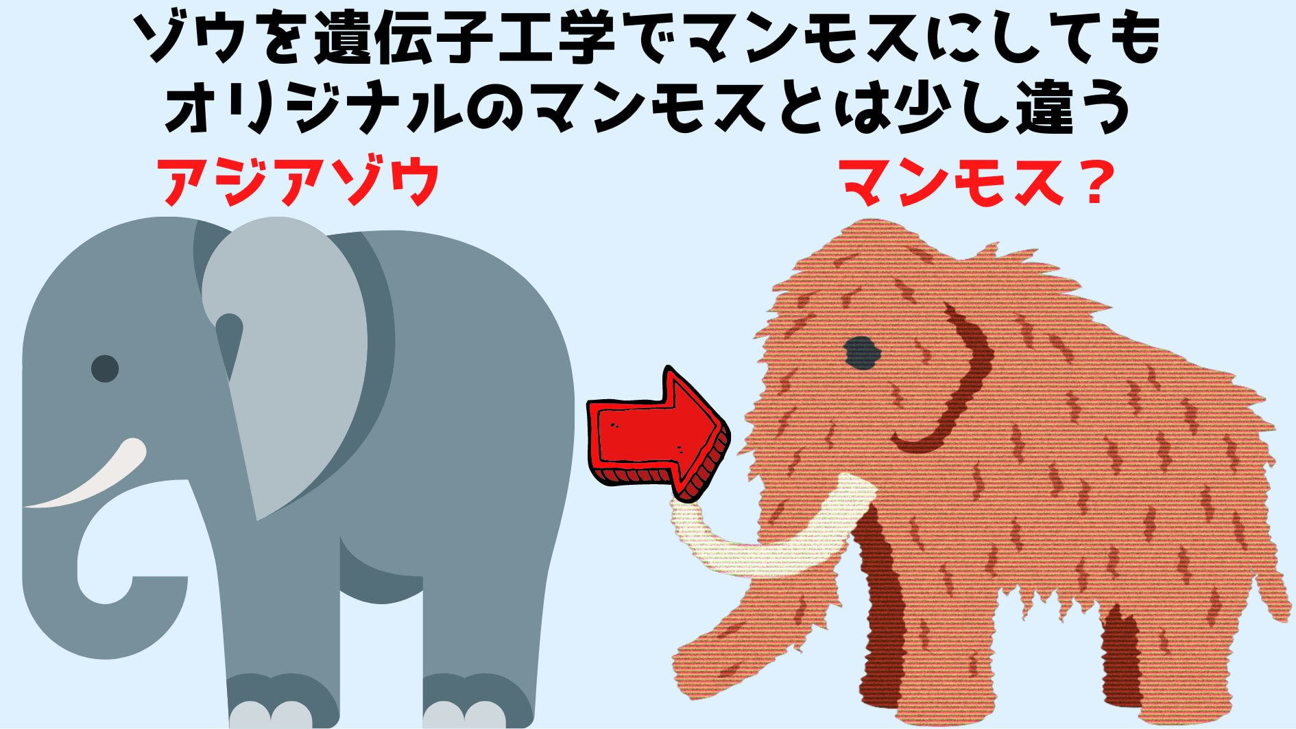 現存種ラットのDNAをちょっとずつ置き換えて絶滅種に変換する計画！の画像 5/5