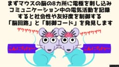 まずコミュニケーション中のマウスの脳に8本の電極を刺し込みます