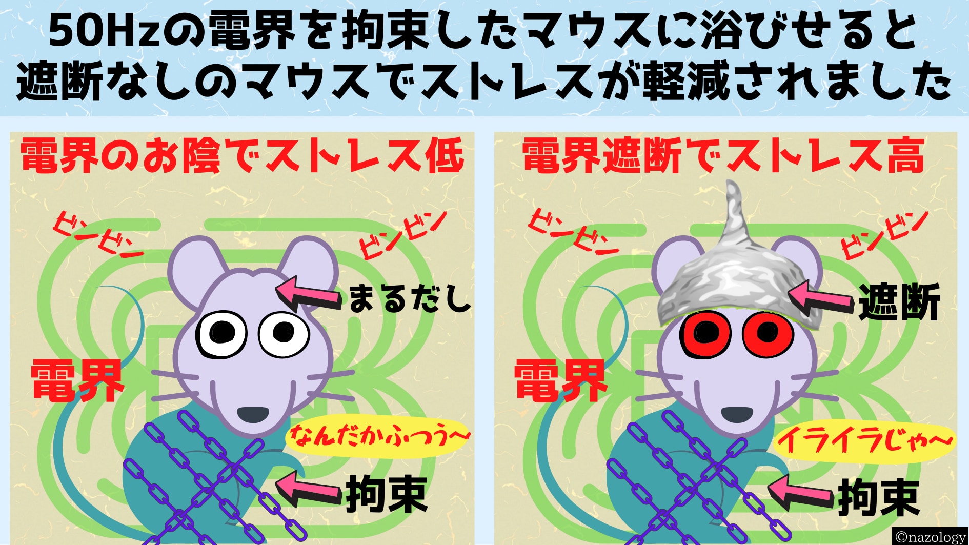 電界には上がってしまったストレスホルモンを減らす働きがあるようです。