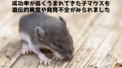 成功率の低さは改変するタグの数が不十分だったからだと考えられます。