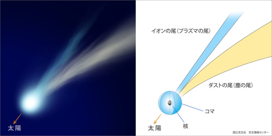 彗星の模式図