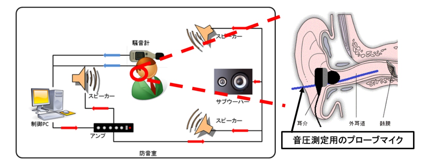 測定システムの模式図