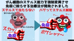 がん細胞を変異させれば免疫で殴れるようになります