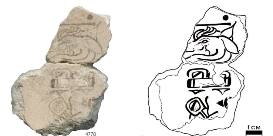 古代マヤ暦の秘密 Amazon.co.jp: 幸運が舞いおりる「マヤ暦」の秘密 : 木田 景子: 本