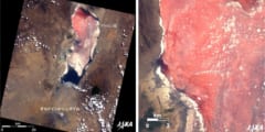 ナトロン湖の衛星写真。白い渦のように見える部分は炭酸ナトリウムの結晶。