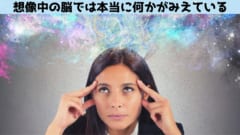 想像の画像を思い浮かべているとき脳は本当に視覚を活性化させていた