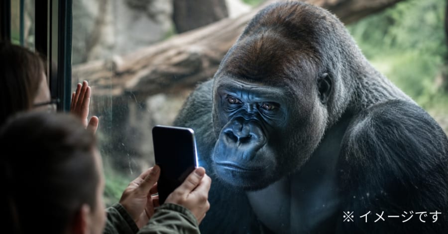 来園者のスマホに心奪われ「スマホ中毒」になったゴリラ - ナゾロジー