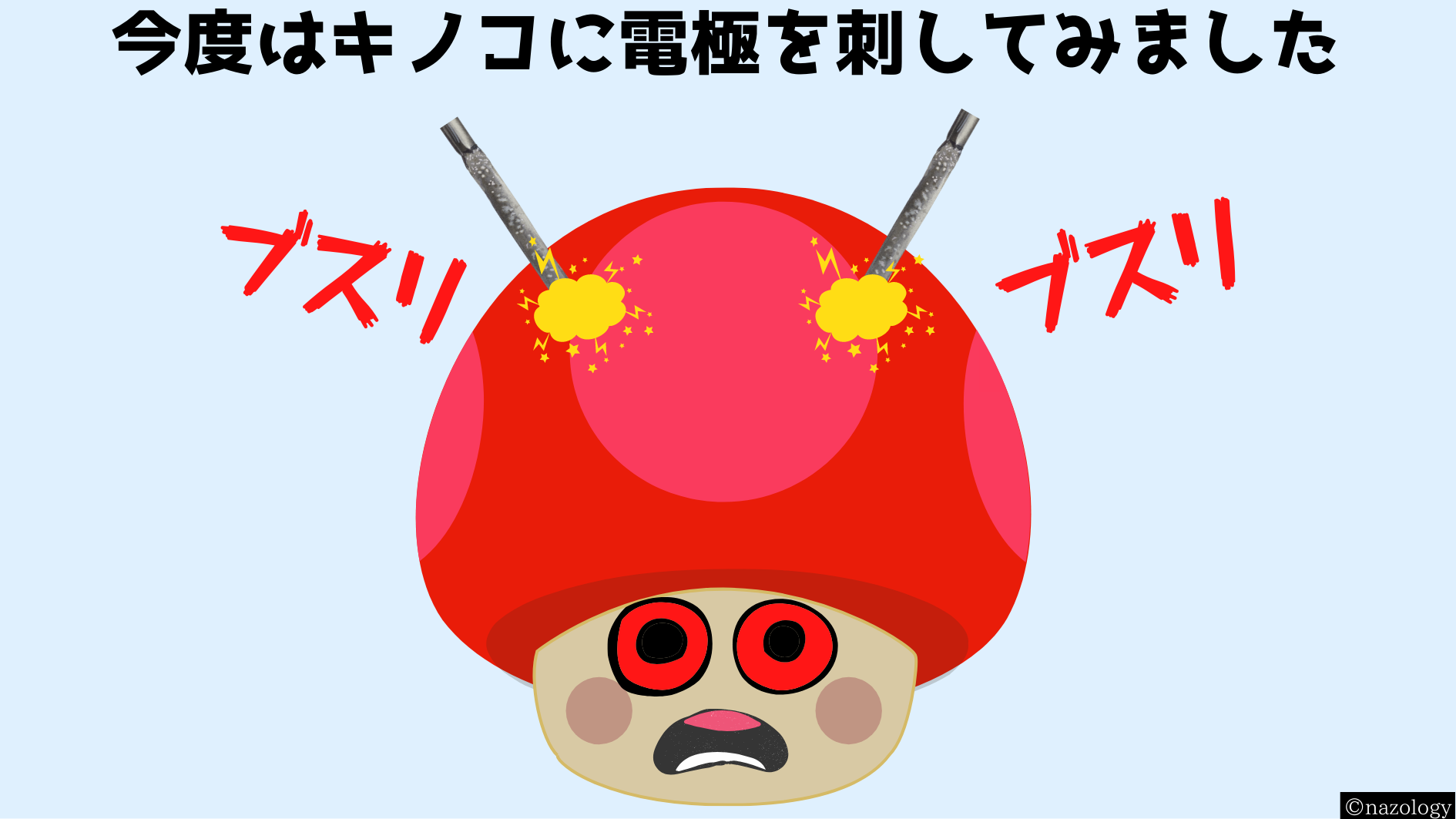 キノコは50種類の「単語」を使って会話をしている