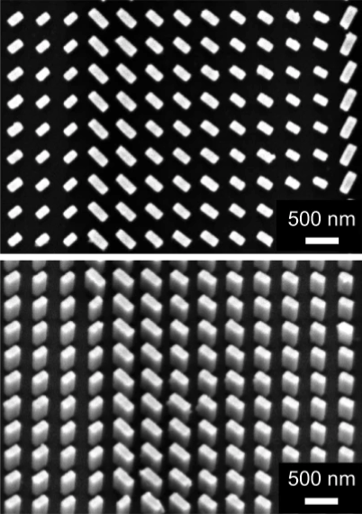 ナノピラーを並べた拡大図