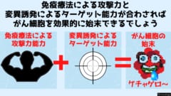 免疫療法と変異誘発があわさり最強にみえます