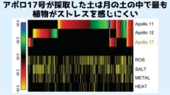 それぞれの土で有意に発現に違いがみられた遺伝子。アポロ11号が採取した土は多く17号は少ない