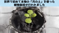 本物の「月の土」で植物栽培に成功！