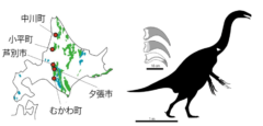 化石の発見地と見つかった部位