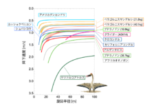 サーマルソアリング性能の種間比較（線が上にあるほど能力が高い）