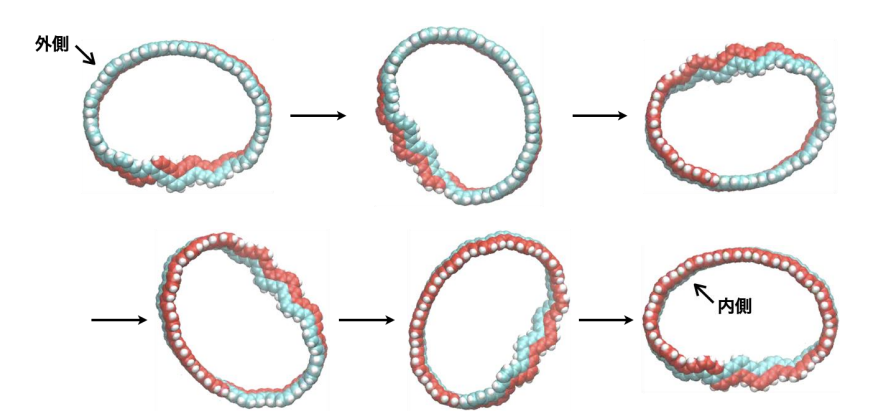 分子動力学シミュレーションによるメビウスカーボンナノベルトの動き