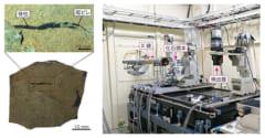 研究に用いた化石標本（左）とシンクロトロン放射光X線マイクロCT（右）