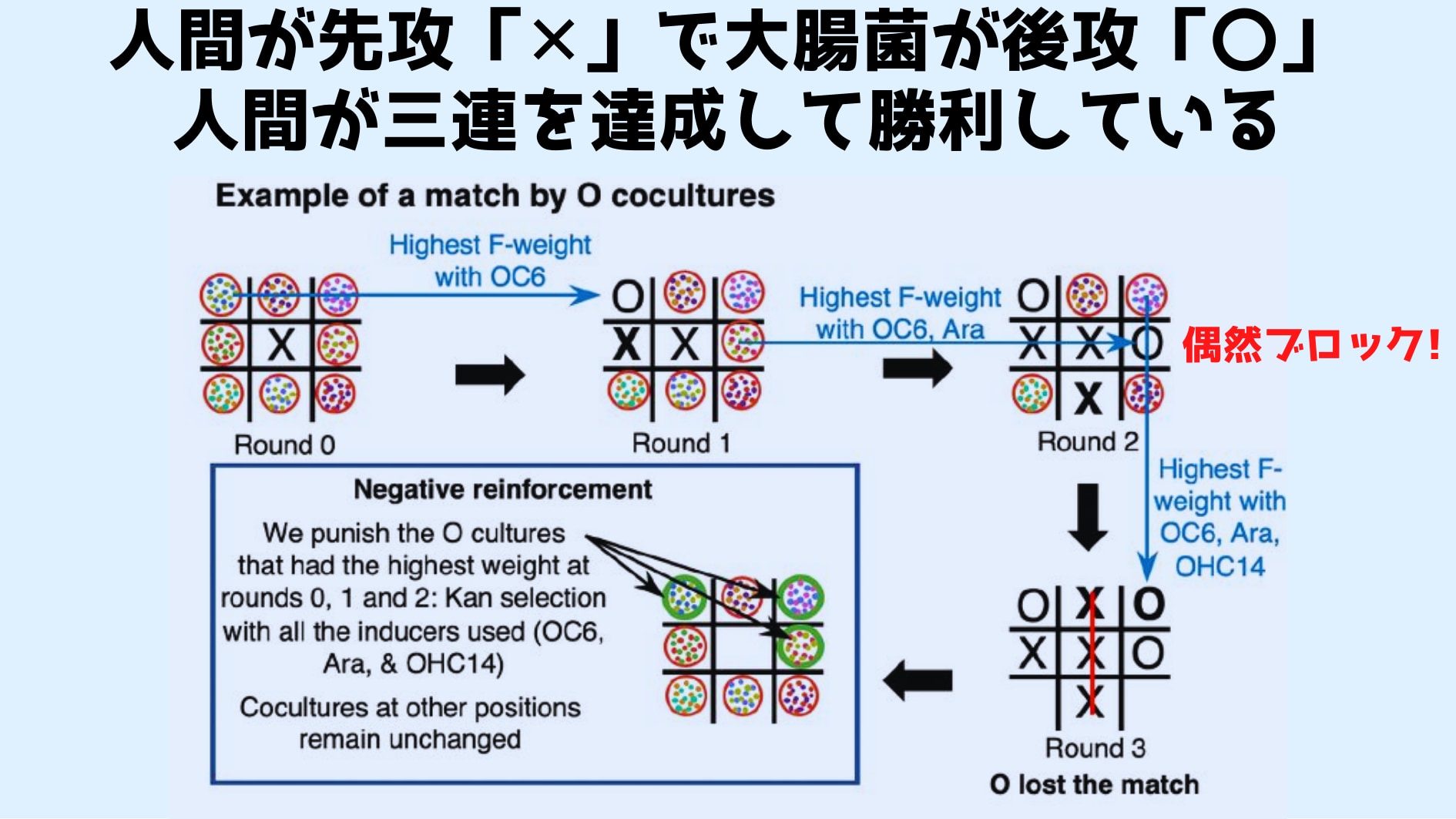 大腸菌と人間が戦い人間が勝った。負けた大腸菌にはペナルティーとして抗生物質が与えられた