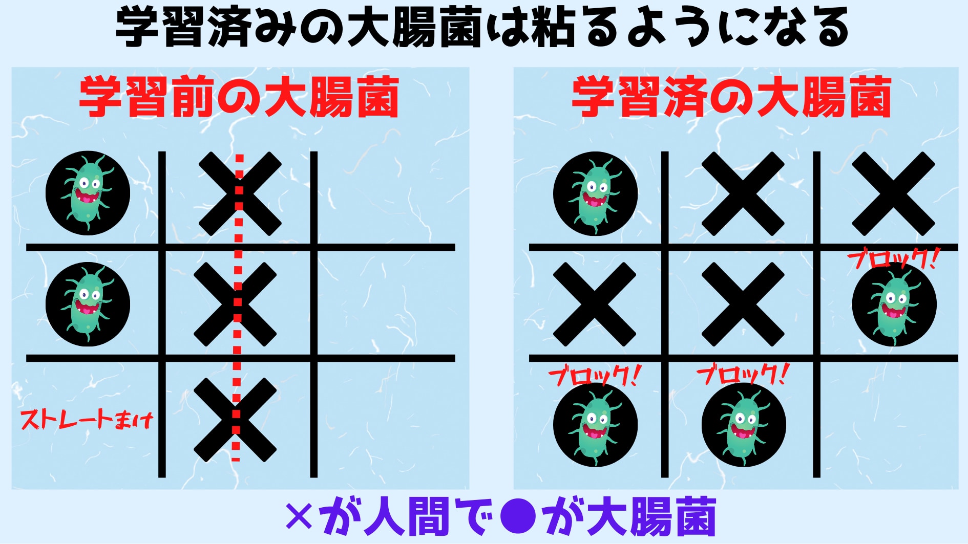 大腸菌は8回程度ゲームを繰り返すことで人間の勝ちを妨害できるようになった