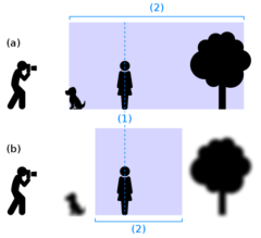 （a）瞳孔が小さくなるとピントが合う範囲が広がる, （b）瞳孔が通常または大きな状態なので、ピントが合う範囲が限られる