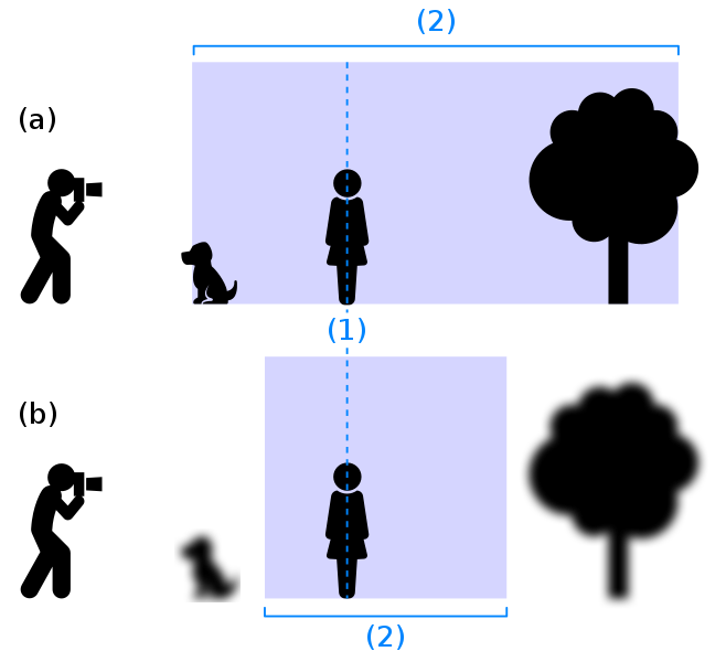 （a）瞳孔が小さくなるとピントが合う範囲が広がる, （b）瞳孔が通常または大きな状態なので、ピントが合う範囲が限られる