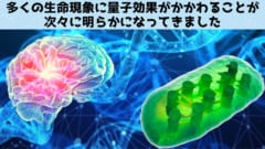 DNA変異が量子世界のトンネル効果で起きていると判明！の画像 2/5