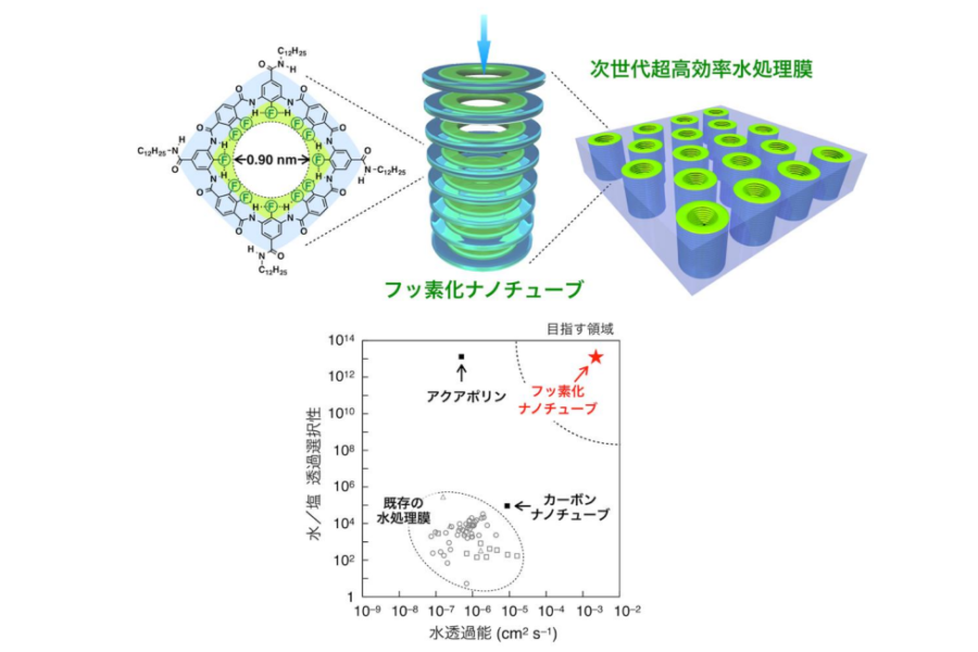 水を高速で通すのに”塩は通さない”「フッ素化ナノチューブ」を開発！