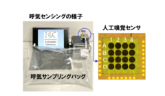 呼気センシング実験の様子（左）と使用した人口嗅覚センサ（右）