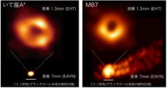 いて座A*（左）とM87（右）の画像比較。上が近傍の姿、下が遠方から観測した画像。