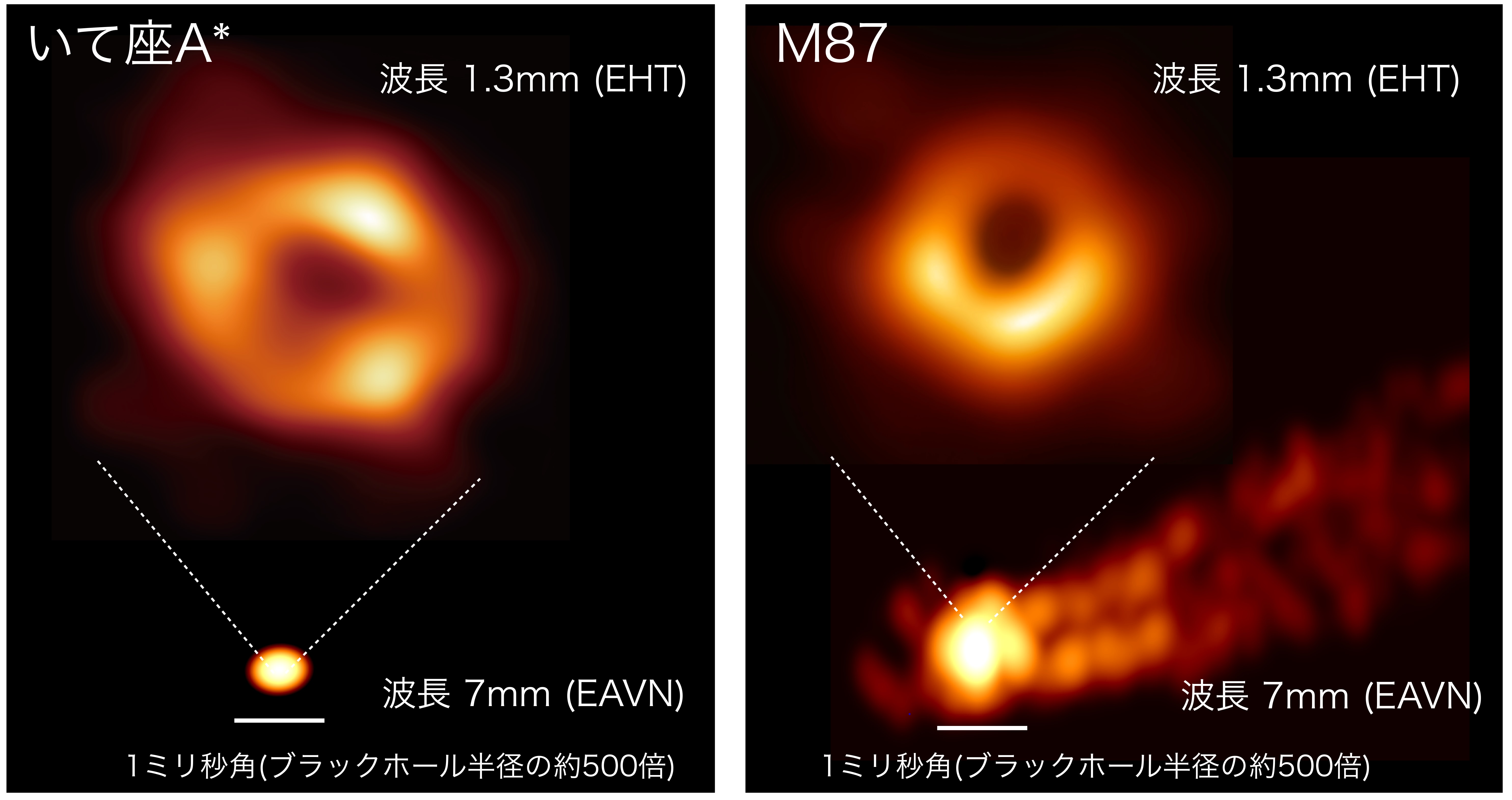 いて座A*（左）とM87（右）の画像比較。上が近傍の姿、下が遠方から観測した画像。