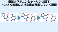 DNA変異が量子世界のトンネル効果で起きていると判明！の画像 4/5