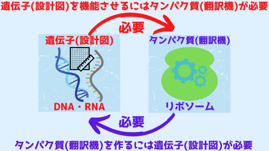 遺伝子を機能させるには翻訳機が必要で翻訳機を作るには遺伝子が必要