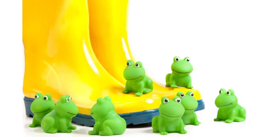 カエルのオスは「ブーツ」でも飛びついて交尾しようとする！ 理由は