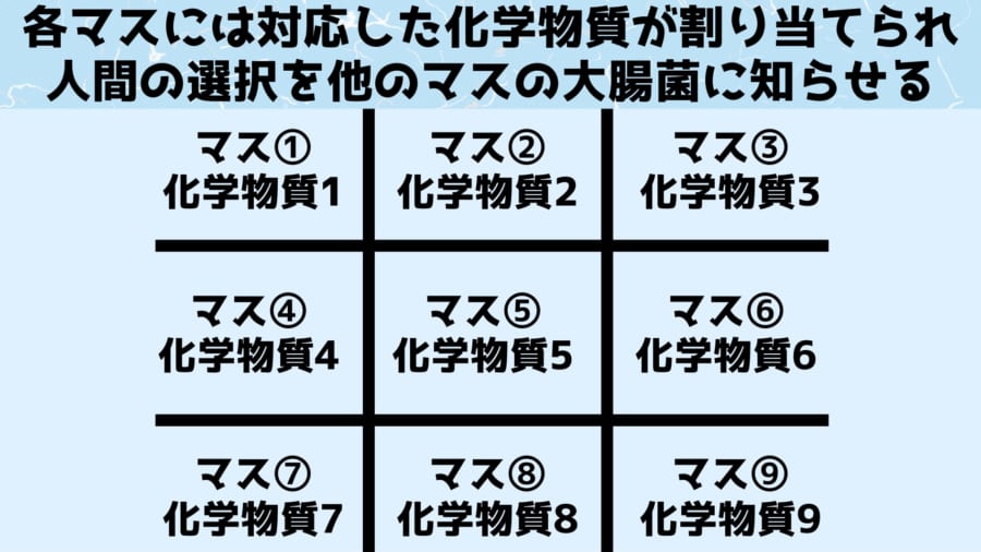 各マスには特定の化学物質が割り当てられ人間の選択を大腸菌に教えている