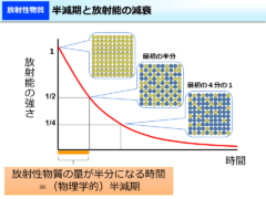 半減期を経て減っていく元素の数を示すグラフ