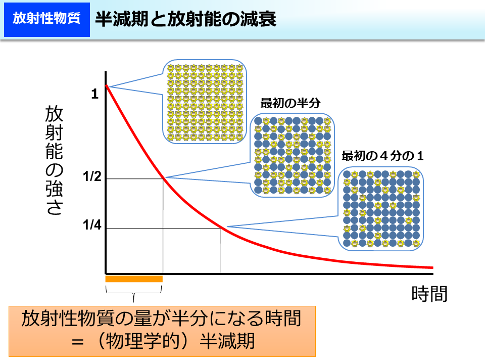 半減期を経て減っていく元素の数を示すグラフ