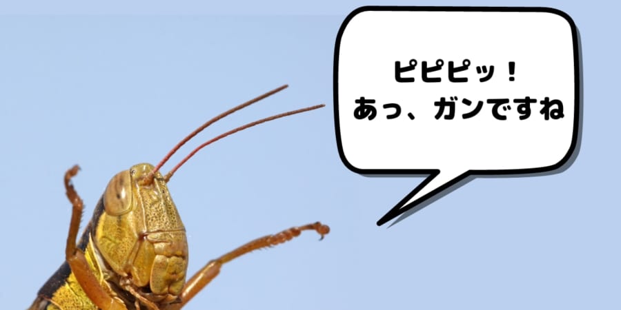 イナゴに細胞のニオイを嗅がせることで「がん」を発見できると判明