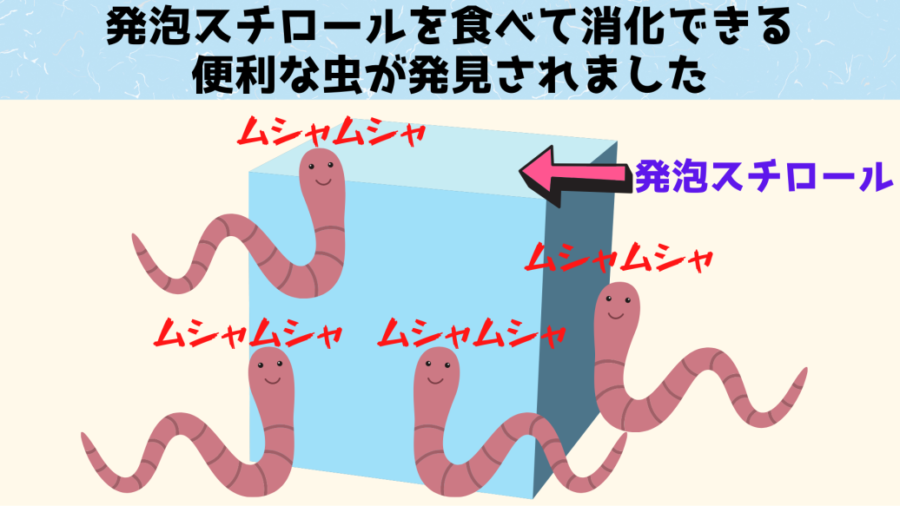 「発泡スチロール」を食べて消化できるスーパーワームを発見！