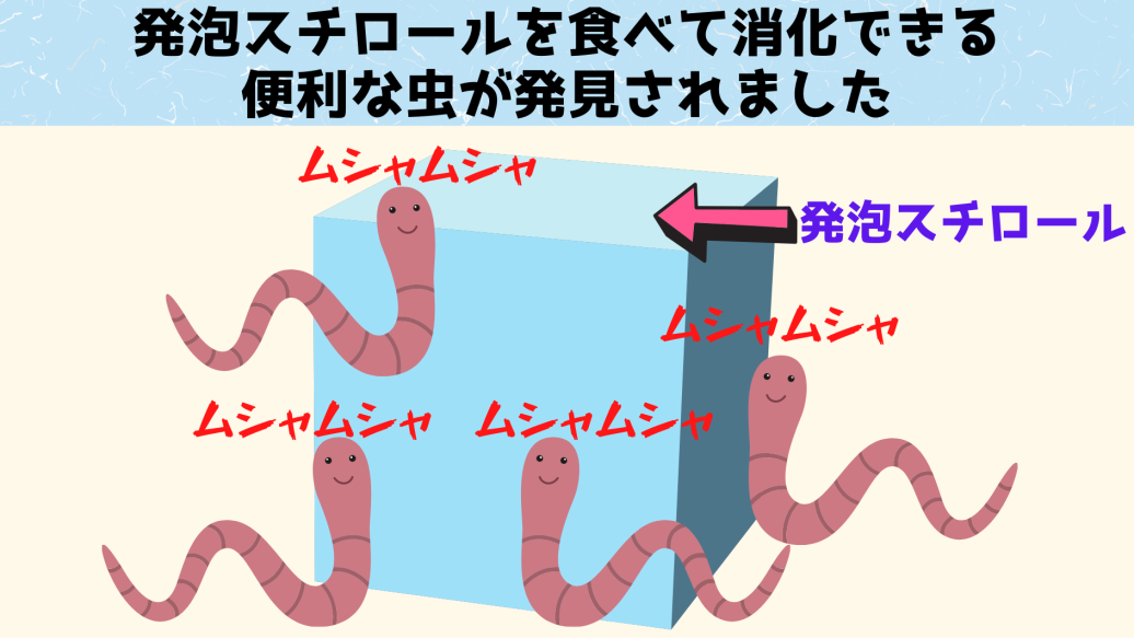 発泡スチロールがエサになる⁈