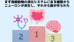 人の健康から精神まで支配する!?　腸内細菌と「脳や体」の驚きの関係の画像 8/8