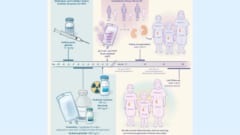 実験の全体図：免疫骨異形成症（SIOD）の3人の患者は、免疫能力を穏やかに抑制されたます。次にαβT細胞とCD19 B細胞を排除。最後に腎臓移植を行いました。3人の患者はすべて、22〜34か月の追跡期間中、免疫抑制なしで正常な腎機能を示しました。