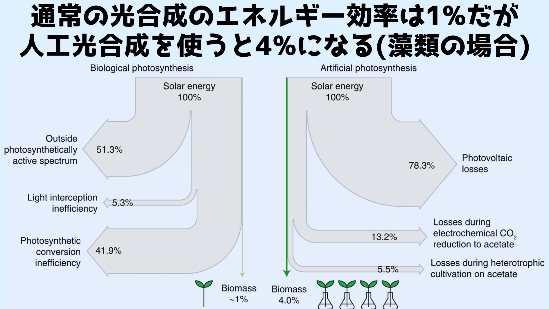 人工光合成は宇宙ステーションや地下都市での耕作を可能にする