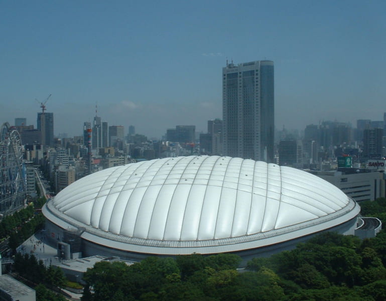 東京ドームの面積とほぼ同じ受風面積