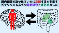 腸内細菌と「脳や体」の関係を解き明かす最新研究のまとめ