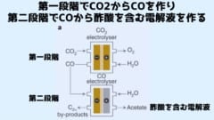 人工光合成で得た栄養素を使い植物を「完全な暗闇」で育てる