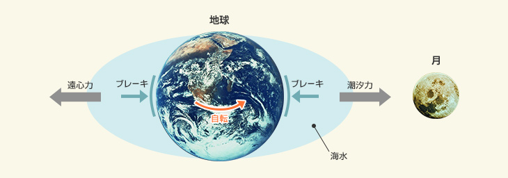 月の潮汐力により地球の自転速度にはブレーキがかかっている