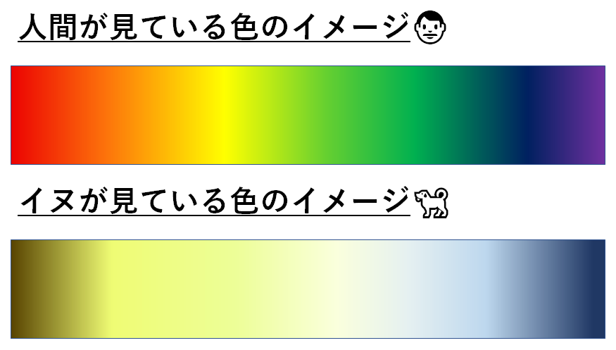 犬と人間の見え方