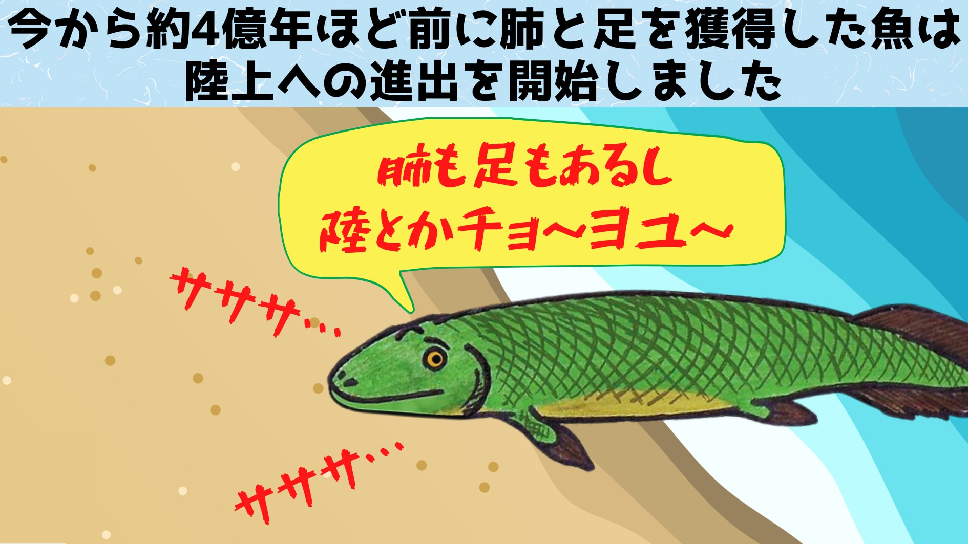 手足を進化させ陸にあがったのに、すぐ諦めて水中へ戻ってしまった魚がいたの画像 3/5