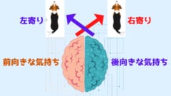 犬の気持ちはしっぽでわかる！　犬は好意的な相手には「右寄りにしっぽを振る」の画像 3/3